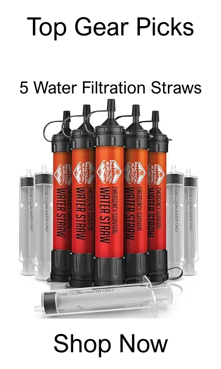 Water Purification Straws